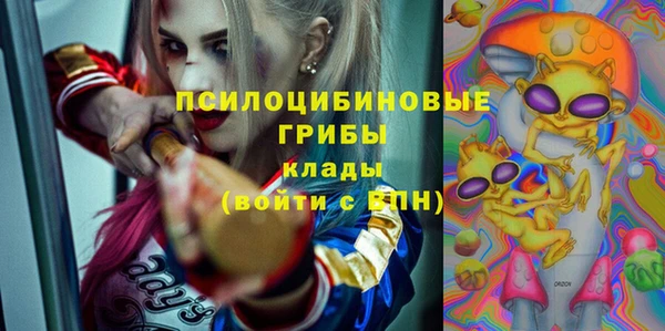 крисы Алексеевка